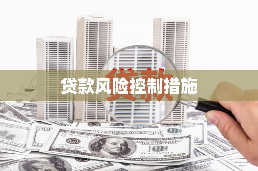 岭东贷款风险控制措施