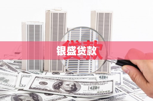 云龙银盛贷款