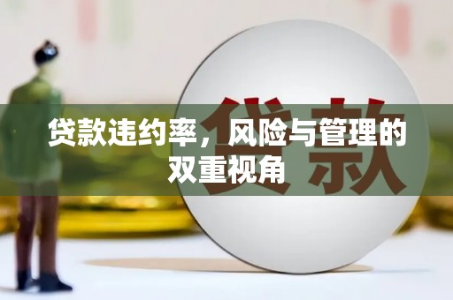 雾峰贷款违约率，风险与管理的双重视角