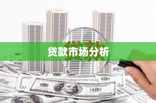 沙湾贷款市场分析