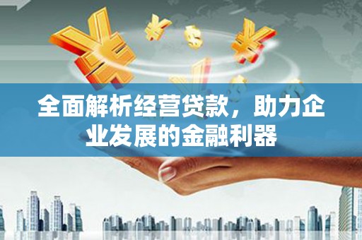 蓝山全面解析经营贷款，助力企业发展的金融利器