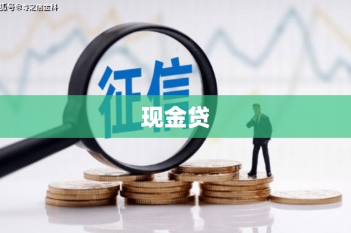 民丰现金贷