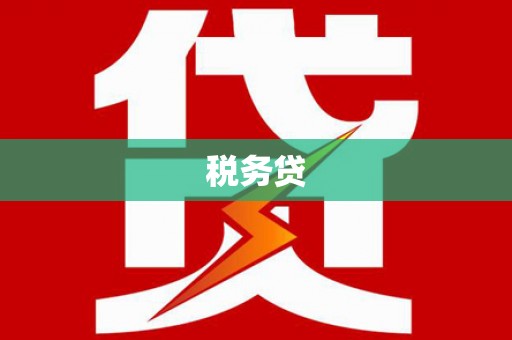 成都税务贷