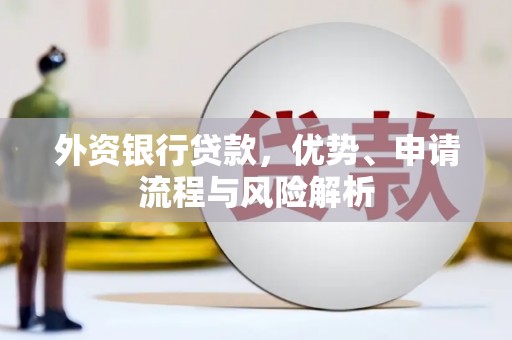 漳平外资银行贷款，优势、申请流程与风险解析