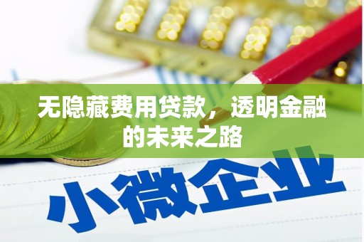 广灵无隐藏费用贷款，透明金融的未来之路