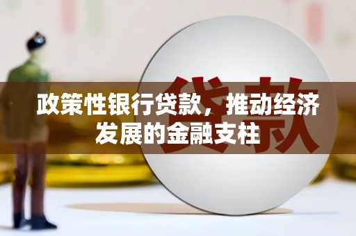 信州政策性银行贷款，推动经济发展的金融支柱