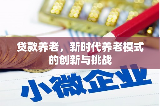 鹿草贷款养老，新时代养老模式的创新与挑战