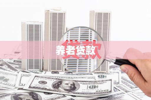 曾都养老贷款