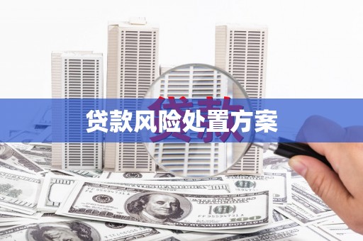 太子河贷款风险处置方案