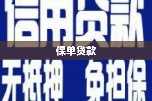 中卫保单贷款