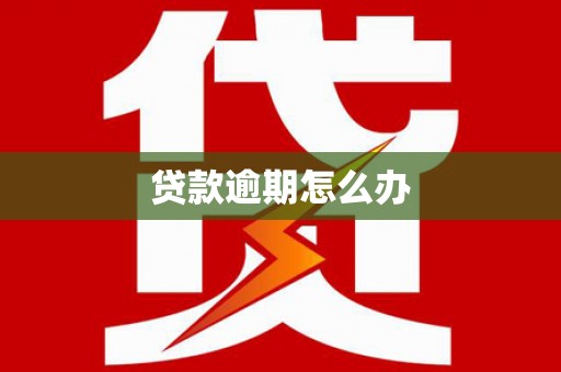 张店贷款逾期怎么办
