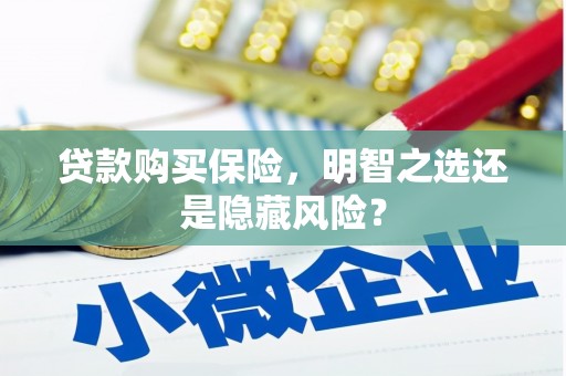 德保贷款购买保险，明智之选还是隐藏风险？