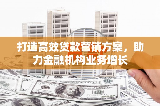 盖州打造高效贷款营销方案，助力金融机构业务增长