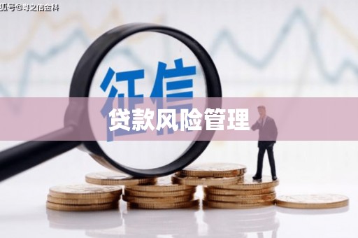 岱山贷款风险管理