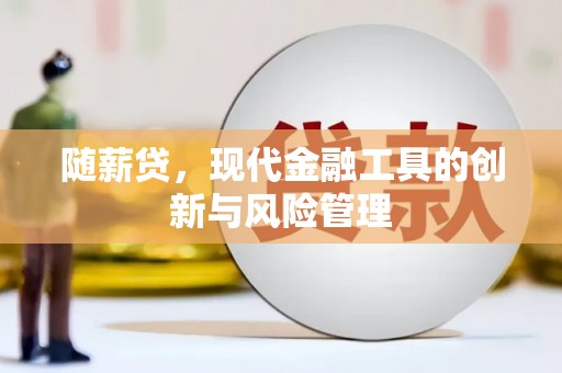 镇巴随薪贷，现代金融工具的创新与风险管理