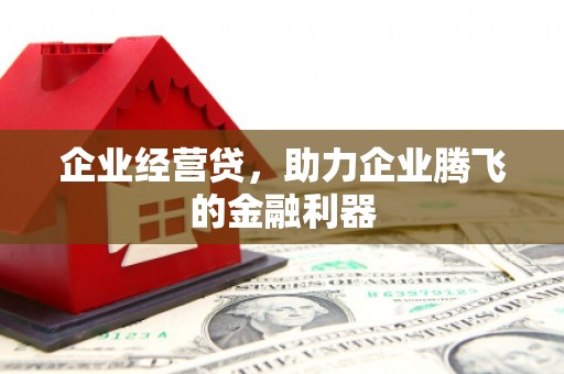 田尾企业经营贷，助力企业腾飞的金融利器