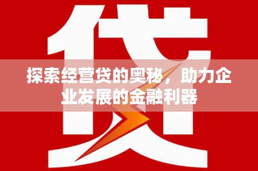 苍南探索经营贷的奥秘，助力企业发展的金融利器
