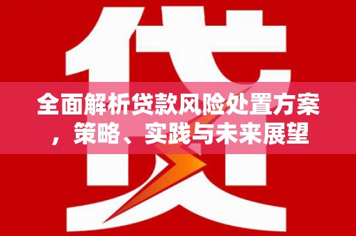 上林全面解析贷款风险处置方案，策略、实践与未来展望
