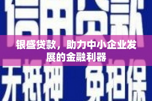 安乐银盛贷款，助力中小企业发展的金融利器