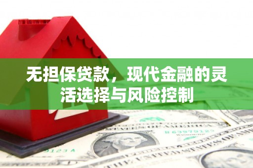 兴县无担保贷款，现代金融的灵活选择与风险控制