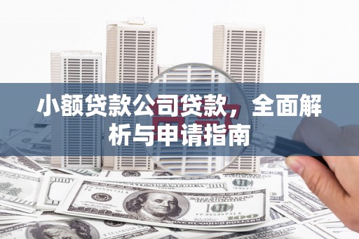 城中小额贷款公司贷款，全面解析与申请指南