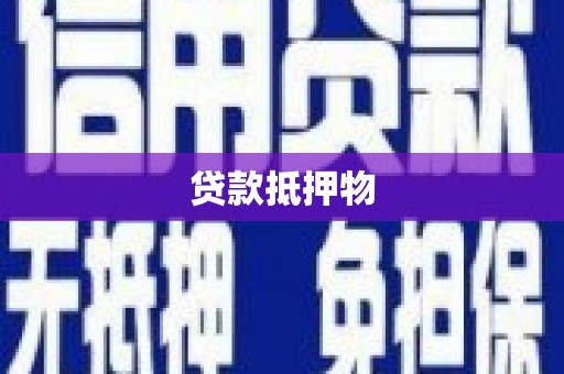 苏尼特右旗贷款抵押物