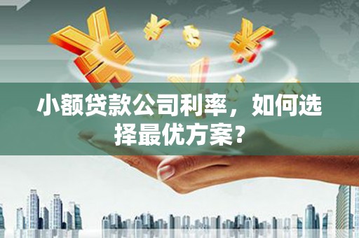 息县小额贷款公司利率，如何选择最优方案？