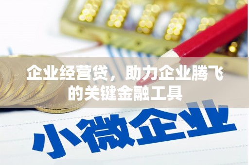 八宿企业经营贷，助力企业腾飞的关键金融工具