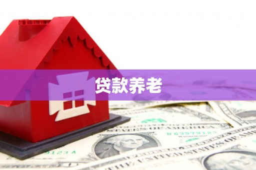 凤城贷款养老