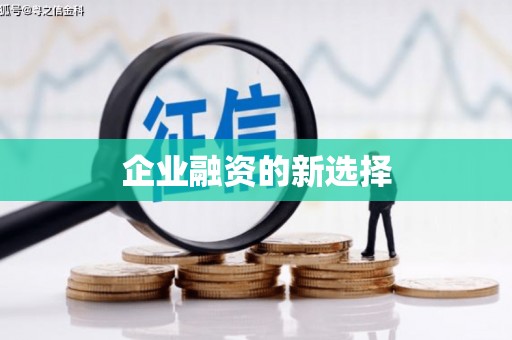 新园企业融资的新选择