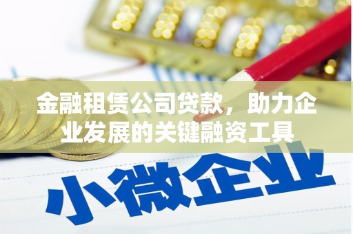 望城金融租赁公司贷款，助力企业发展的关键融资工具
