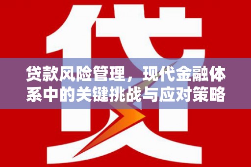 淇滨贷款风险管理，现代金融体系中的关键挑战与应对策略