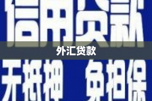 屏边外汇贷款