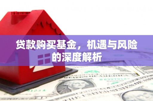 乐东贷款购买基金，机遇与风险的深度解析