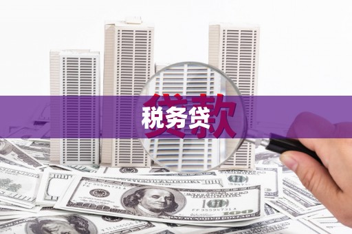 崖州税务贷