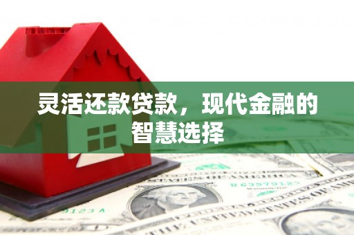 山上灵活还款贷款，现代金融的智慧选择