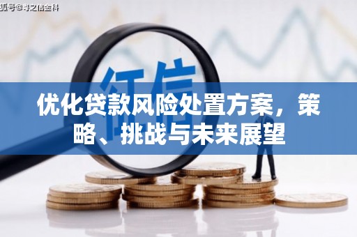 北投优化贷款风险处置方案，策略、挑战与未来展望