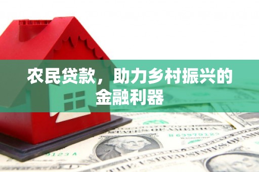 亭湖农民贷款，助力乡村振兴的金融利器