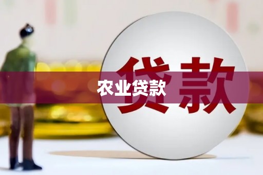 沈北新区农业贷款