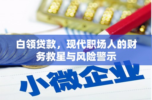 狮子山白领贷款，现代职场人的财务救星与风险警示