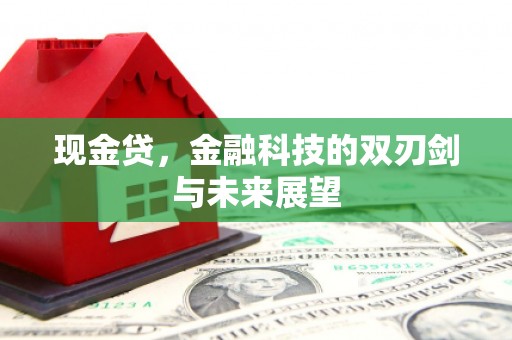 仙游现金贷，金融科技的双刃剑与未来展望