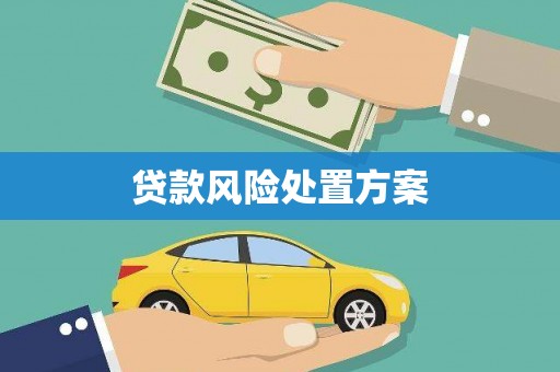 绥芬河贷款风险处置方案