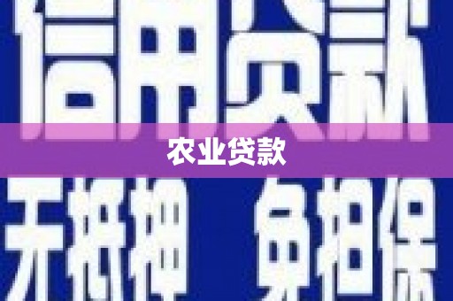龙城农业贷款