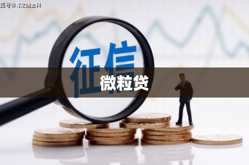 陕西微粒贷