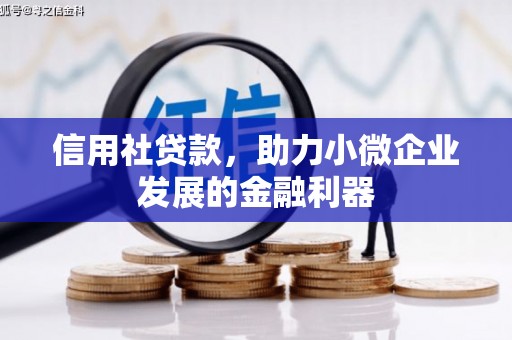 来宾信用社贷款，助力小微企业发展的金融利器