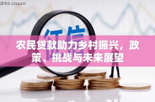 汤阴农民贷款助力乡村振兴，政策、挑战与未来展望