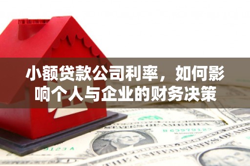 武鸣小额贷款公司利率，如何影响个人与企业的财务决策