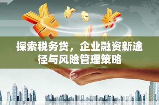 东至探索税务贷，企业融资新途径与风险管理策略