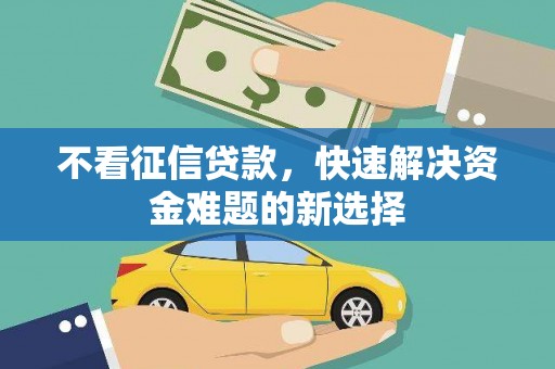 雷州不看征信贷款，快速解决资金难题的新选择