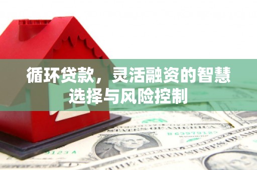 利辛循环贷款，灵活融资的智慧选择与风险控制